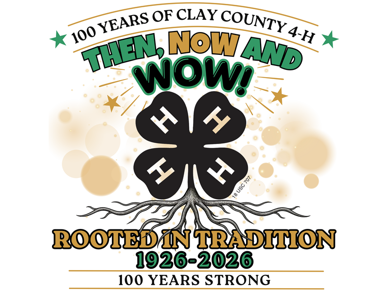 Logo for 2026 Clay County 4-H Fair